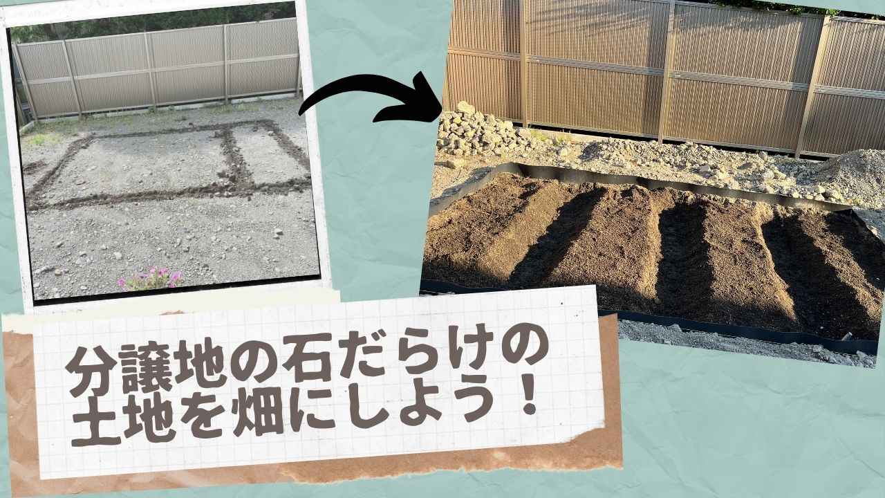 家庭菜園 分譲地の石だらけの土地を畑にしよう 1からの畑作りdiy 穴掘り編 エメラルドのマイホーム